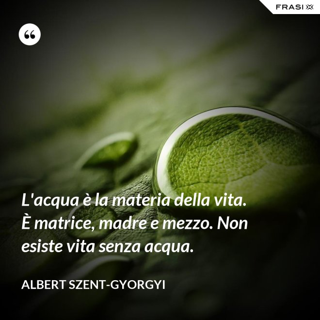L'acqua è la materia della vita. È matrice, madre e mezzo. Non esiste vita senza acqua. - Albert Szent-Gyorgyi