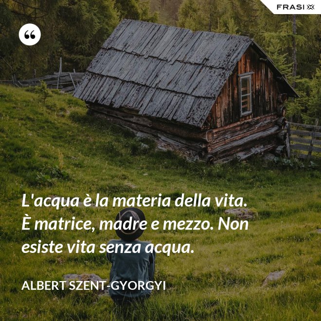 L'acqua è la materia della vita. È matrice, madre e mezzo. Non esiste vita senza acqua. - Albert Szent-Gyorgyi