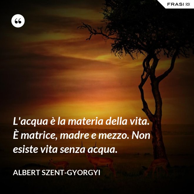 L'acqua è la materia della vita. È matrice, madre e mezzo. Non esiste vita senza acqua. - Albert Szent-Gyorgyi