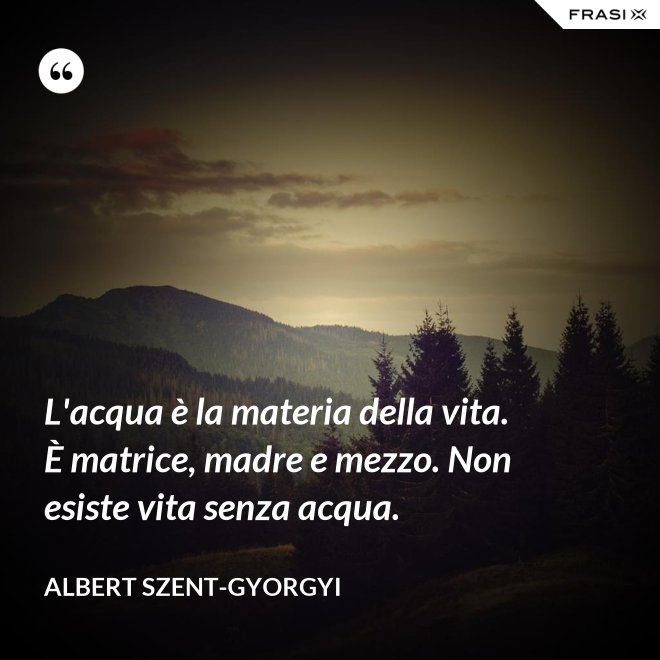 L'acqua è la materia della vita. È matrice, madre e mezzo. Non esiste vita senza acqua. - Albert Szent-Gyorgyi