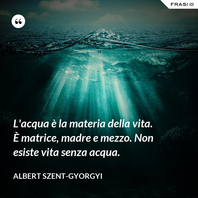 L'acqua è la materia della vita. È matrice, madre e mezzo. Non esiste vita senza acqua. - Albert Szent-Gyorgyi