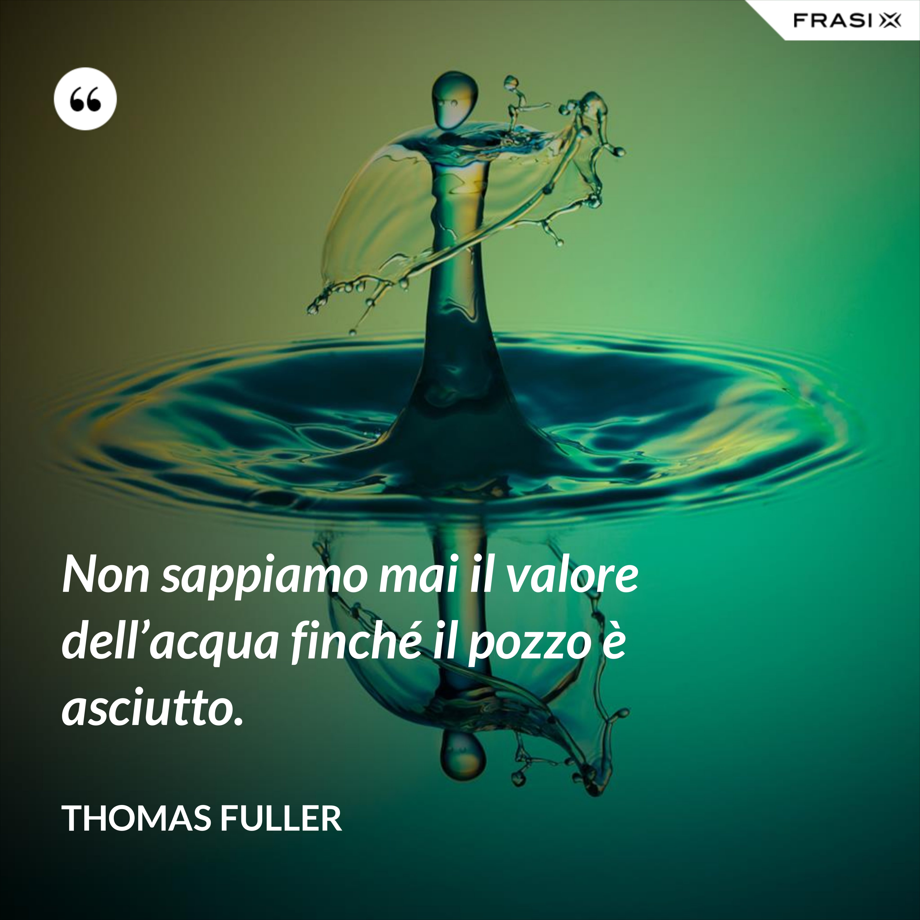 Non sappiamo mai il valore dell’acqua finché il pozzo è asciutto. - Thomas Fuller