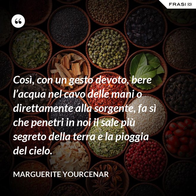 Così, con un gesto devoto, bere l’acqua nel cavo delle mani o direttamente alla sorgente, fa sì che penetri in noi il sale più segreto della terra e la pioggia del cielo. - Marguerite Yourcenar