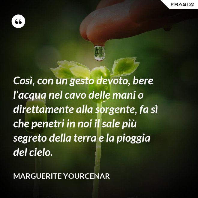 Così, con un gesto devoto, bere l’acqua nel cavo delle mani o direttamente alla sorgente, fa sì che penetri in noi il sale più segreto della terra e la pioggia del cielo. - Marguerite Yourcenar