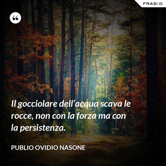 Il gocciolare dell’acqua scava le rocce, non con la forza ma con la persistenza. - Publio Ovidio Nasone