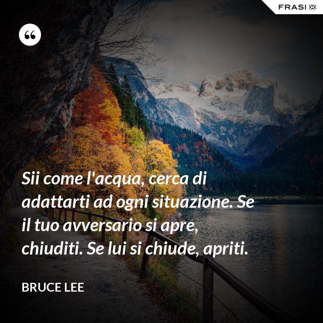 Sii come l'acqua, cerca di adattarti ad ogni situazione. Se il tuo avversario si apre, chiuditi. Se lui si chiude, apriti. - Bruce Lee