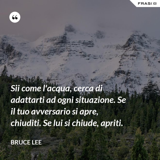 Sii come l'acqua, cerca di adattarti ad ogni situazione. Se il tuo avversario si apre, chiuditi. Se lui si chiude, apriti. - Bruce Lee
