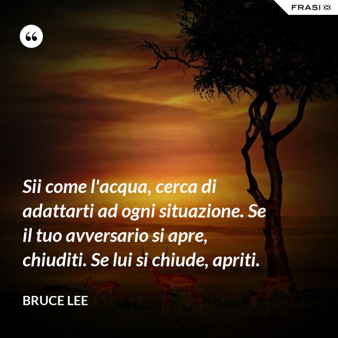 Sii come l'acqua, cerca di adattarti ad ogni situazione. Se il tuo avversario si apre, chiuditi. Se lui si chiude, apriti. - Bruce Lee