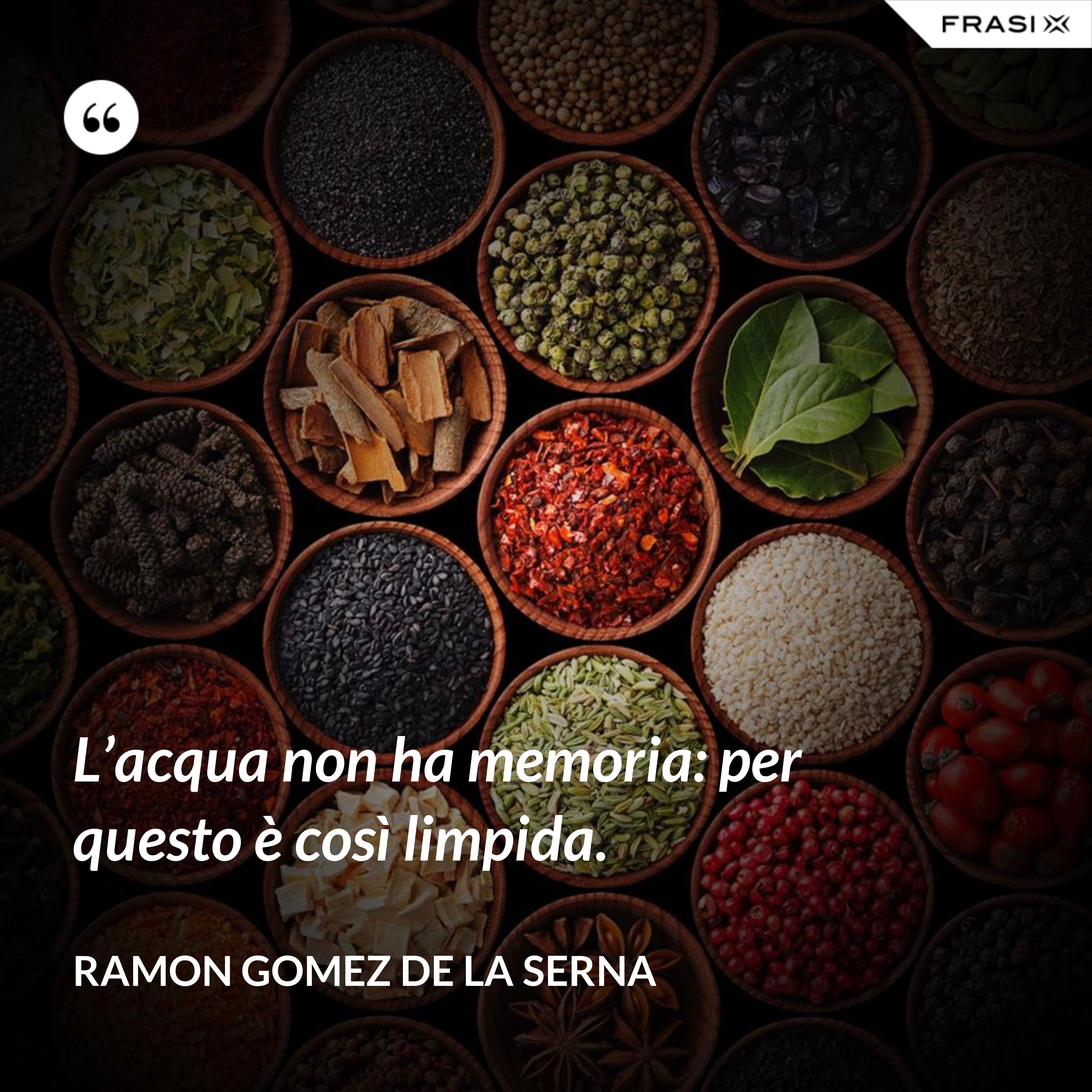 L’acqua non ha memoria: per questo è così limpida. - Ramon Gomez de la Serna