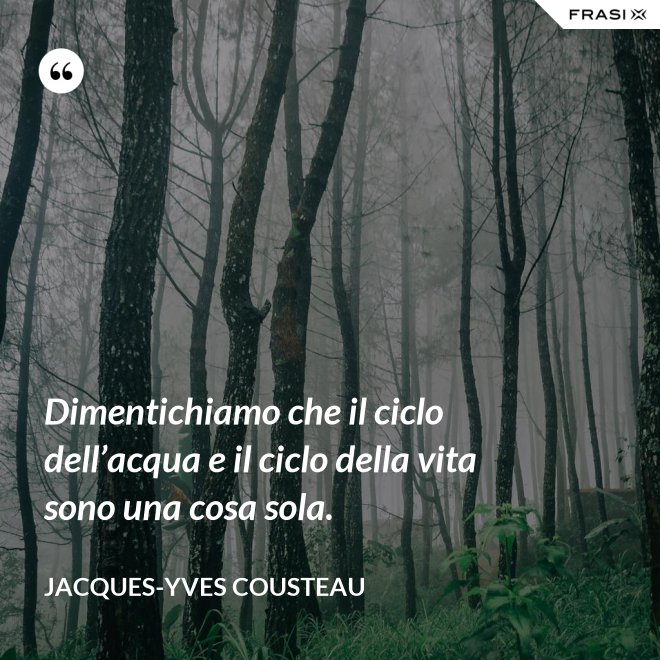 Dimentichiamo che il ciclo dell’acqua e il ciclo della vita sono una cosa sola. - Jacques-Yves Cousteau