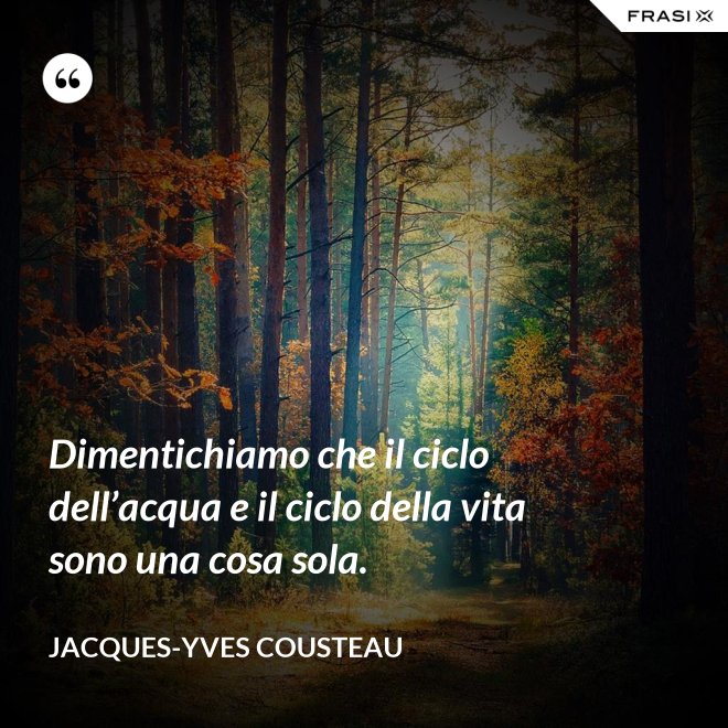 Dimentichiamo che il ciclo dell’acqua e il ciclo della vita sono una cosa sola. - Jacques-Yves Cousteau