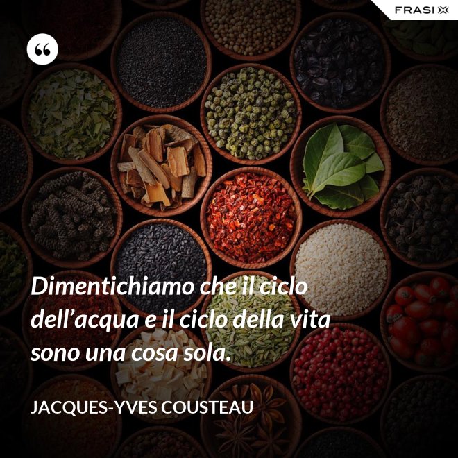 Dimentichiamo che il ciclo dell’acqua e il ciclo della vita sono una cosa sola. - Jacques-Yves Cousteau