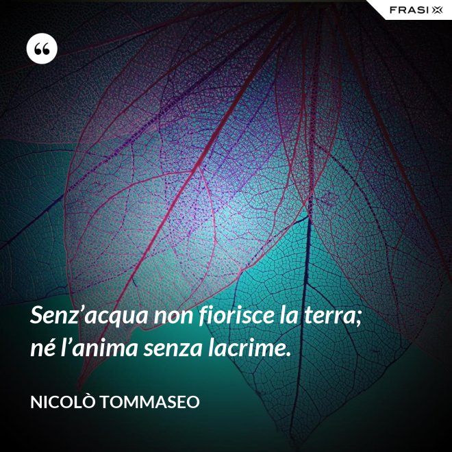 Senz’acqua non fiorisce la terra; né l’anima senza lacrime. - Nicolò Tommaseo