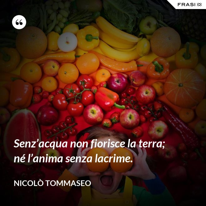 Senz’acqua non fiorisce la terra; né l’anima senza lacrime. - Nicolò Tommaseo