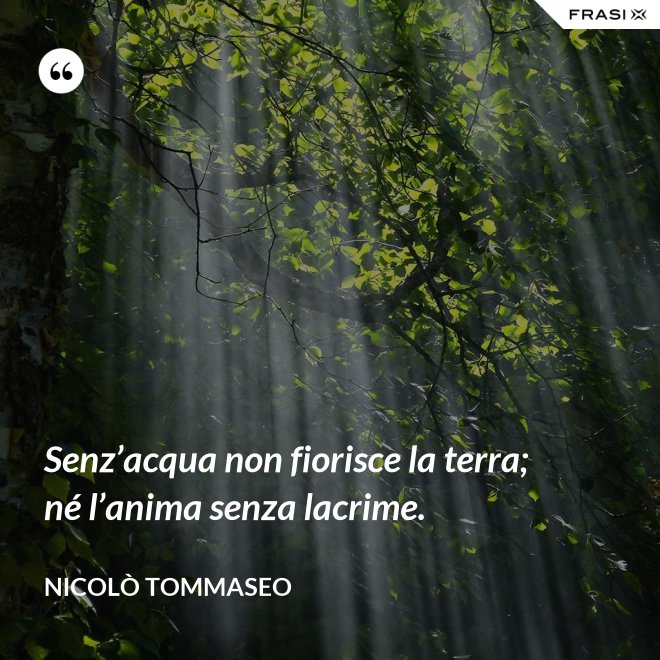 Senz’acqua non fiorisce la terra; né l’anima senza lacrime. - Nicolò Tommaseo
