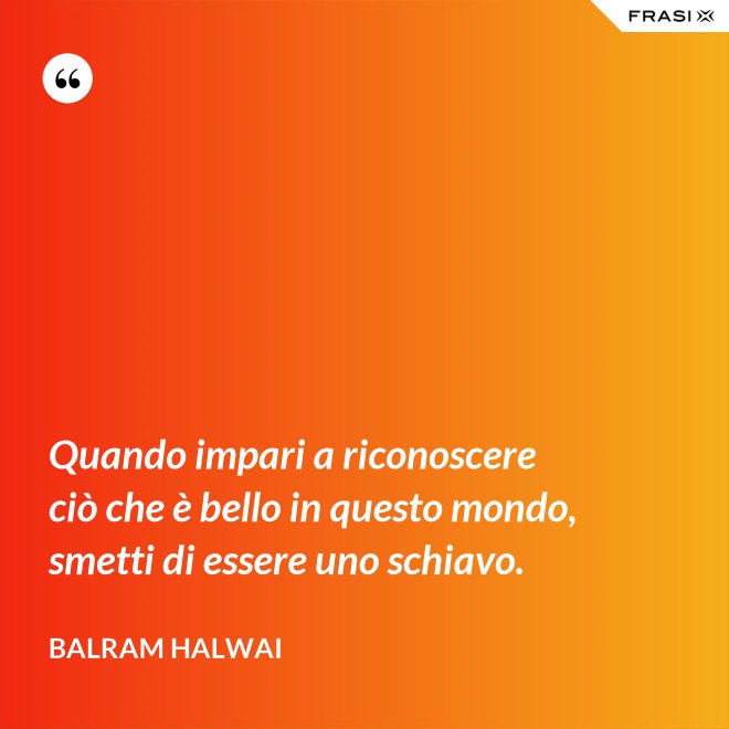 Quando impari a riconoscere ciò che è bello in questo mondo, smetti di essere uno schiavo. - Balram Halwai