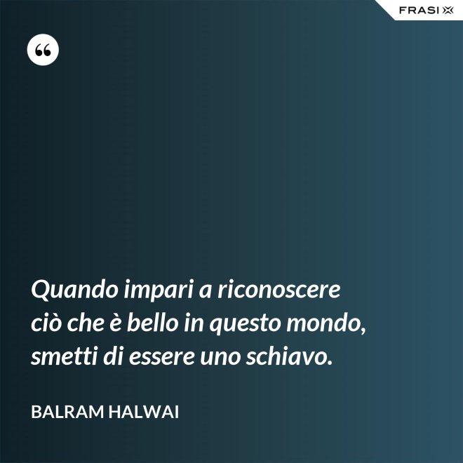 Quando impari a riconoscere ciò che è bello in questo mondo, smetti di essere uno schiavo. - Balram Halwai