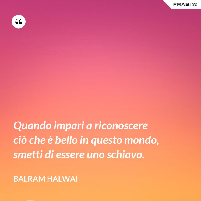 Quando impari a riconoscere ciò che è bello in questo mondo, smetti di essere uno schiavo. - Balram Halwai