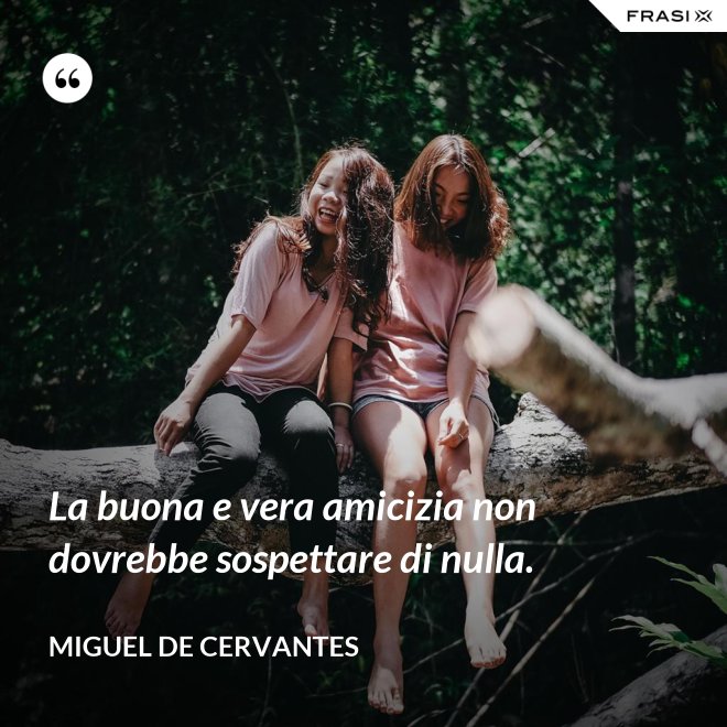 La buona e vera amicizia non dovrebbe sospettare di nulla. - Miguel de Cervantes