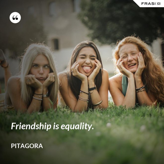 Friendship is equality. - Pitagora