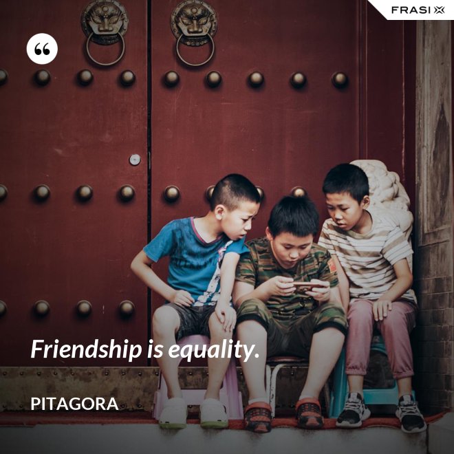 Friendship is equality. - Pitagora
