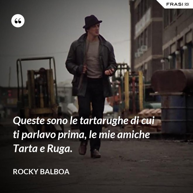 Queste sono le tartarughe di cui ti parlavo prima, le mie amiche Tarta e Ruga. - Rocky Balboa
