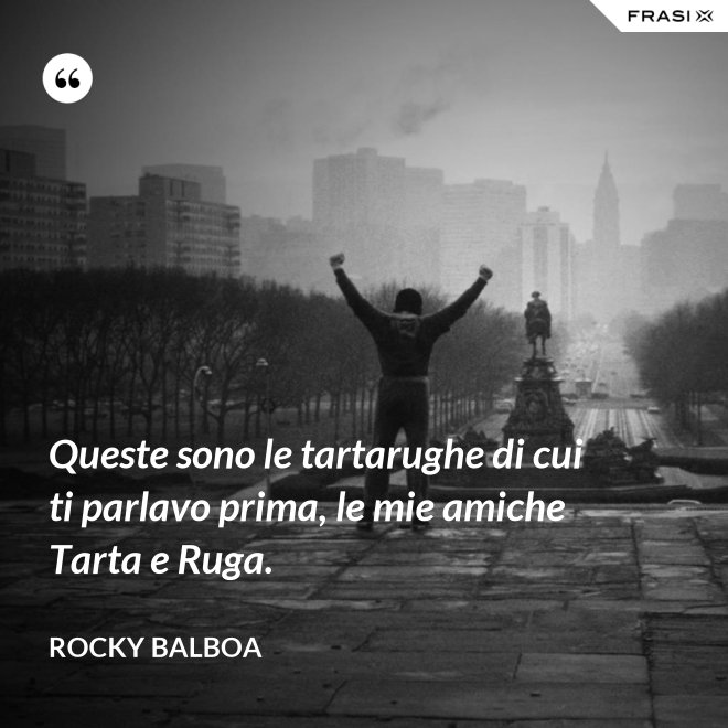 Queste sono le tartarughe di cui ti parlavo prima, le mie amiche Tarta e Ruga. - Rocky Balboa