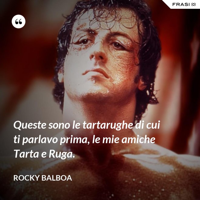 Queste sono le tartarughe di cui ti parlavo prima, le mie amiche Tarta e Ruga. - Rocky Balboa