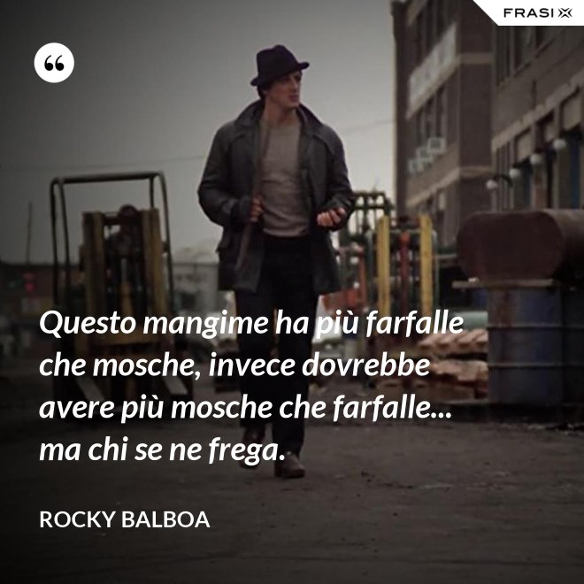 Questo mangime ha più farfalle che mosche, invece dovrebbe avere più mosche che farfalle... ma chi se ne frega. - Rocky Balboa