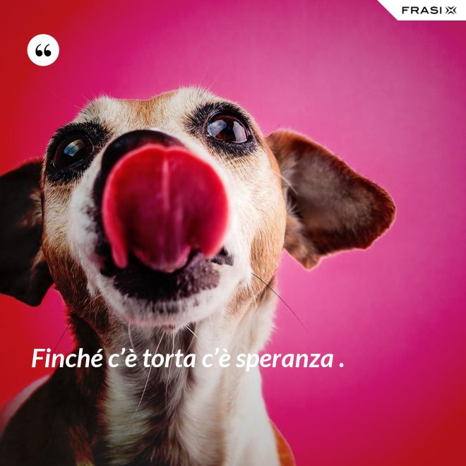 Finché c’è torta c’è speranza . - Anonimo
