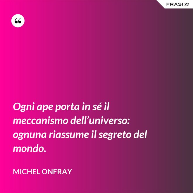 Ogni ape porta in sé il meccanismo dell’universo: ognuna riassume il segreto del mondo. - Michel Onfray