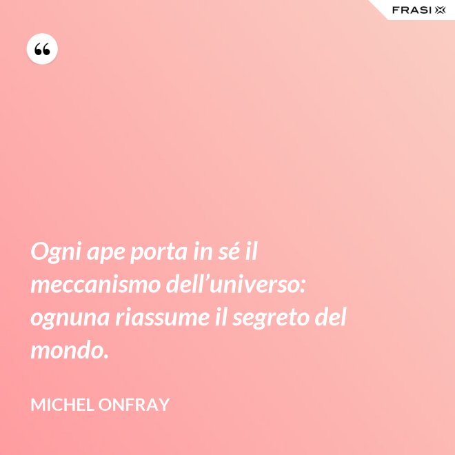 Ogni ape porta in sé il meccanismo dell’universo: ognuna riassume il segreto del mondo. - Michel Onfray