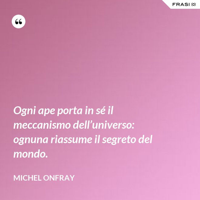Ogni ape porta in sé il meccanismo dell’universo: ognuna riassume il segreto del mondo. - Michel Onfray