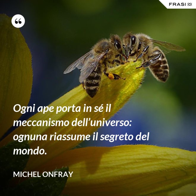 Ogni ape porta in sé il meccanismo dell’universo: ognuna riassume il segreto del mondo. - Michel Onfray