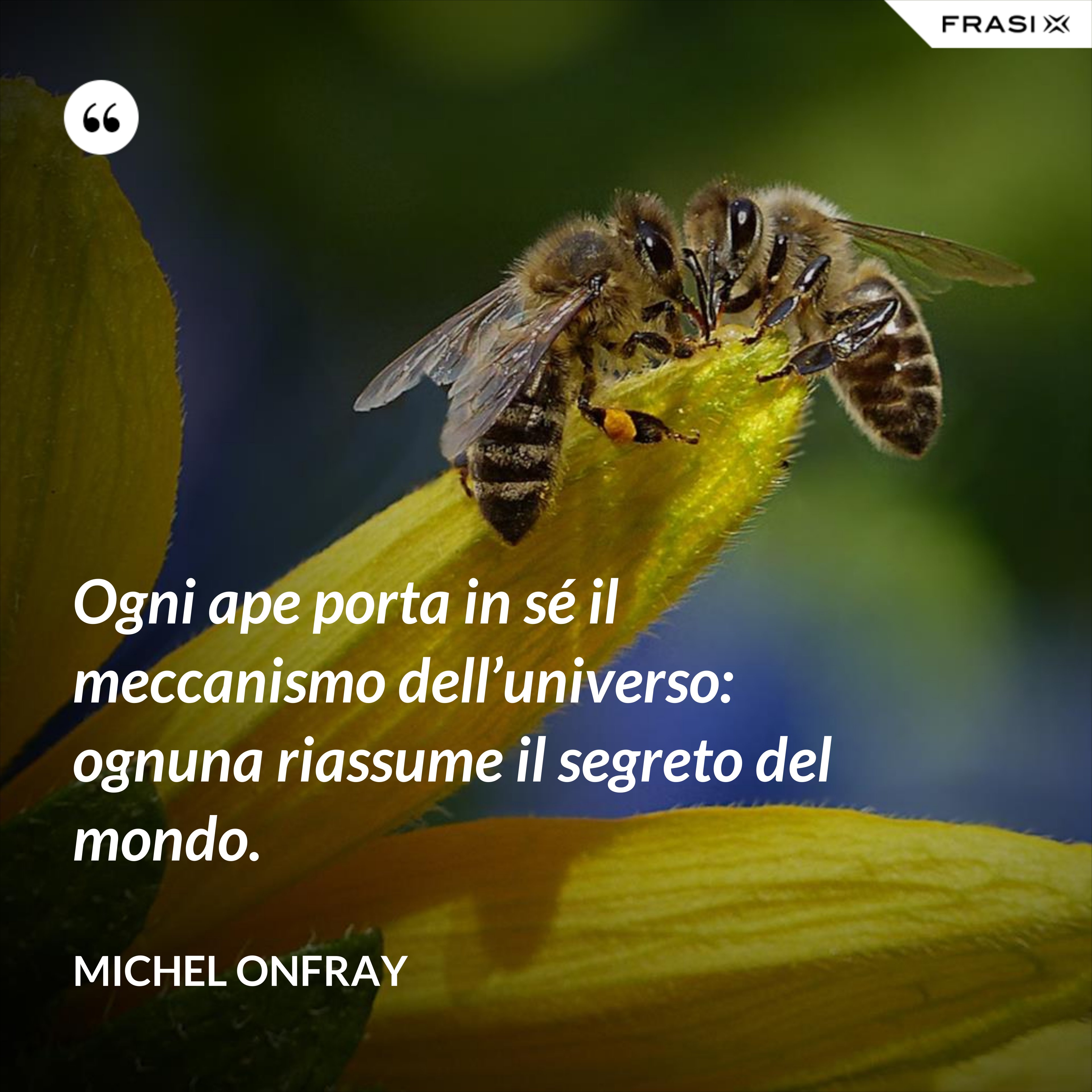 Ogni ape porta in sé il meccanismo dell’universo: ognuna riassume il segreto del mondo. - Michel Onfray