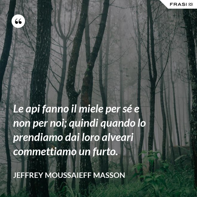 Le api fanno il miele per sé e non per noi; quindi quando lo prendiamo dai loro alveari commettiamo un furto. - Jeffrey Moussaieff Masson
