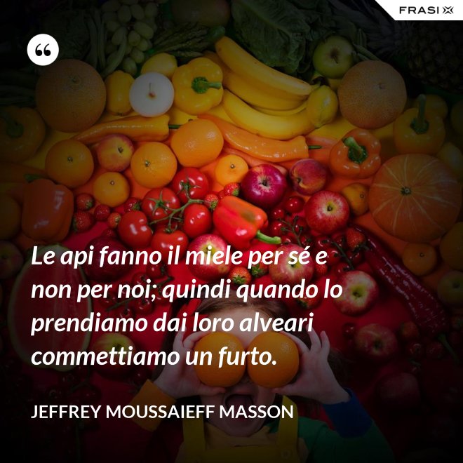 Le api fanno il miele per sé e non per noi; quindi quando lo prendiamo dai loro alveari commettiamo un furto. - Jeffrey Moussaieff Masson