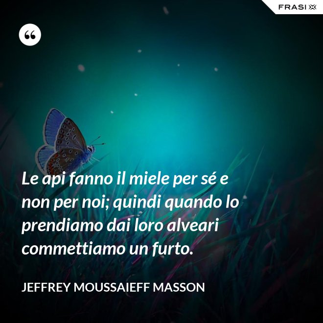 Le api fanno il miele per sé e non per noi; quindi quando lo prendiamo dai loro alveari commettiamo un furto. - Jeffrey Moussaieff Masson