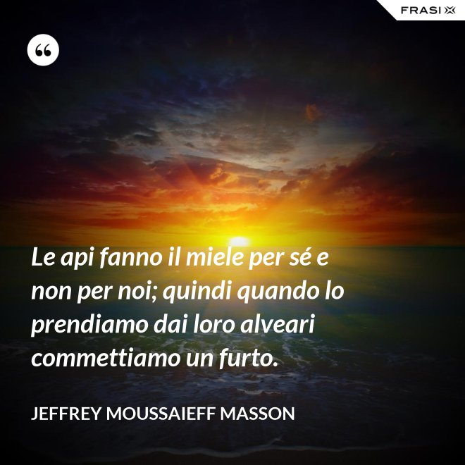 Le api fanno il miele per sé e non per noi; quindi quando lo prendiamo dai loro alveari commettiamo un furto. - Jeffrey Moussaieff Masson