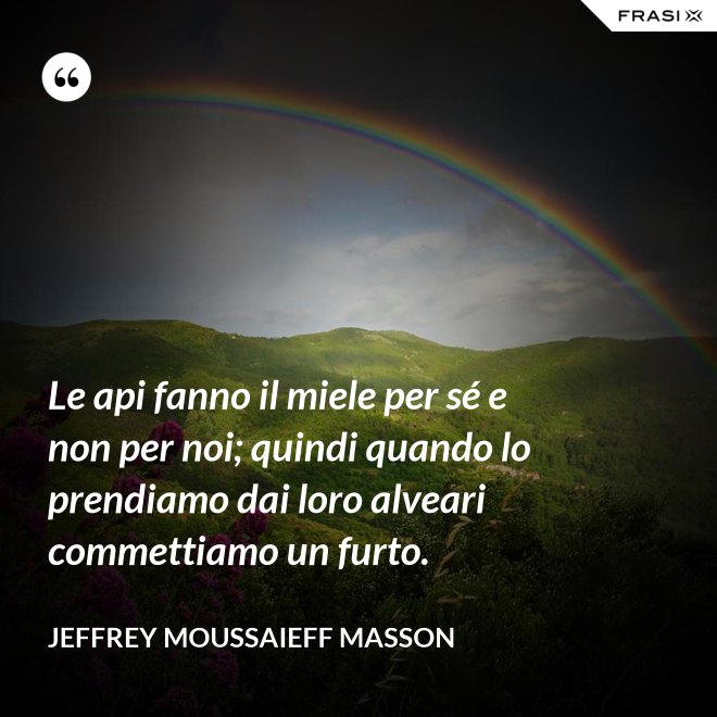 Le api fanno il miele per sé e non per noi; quindi quando lo prendiamo dai loro alveari commettiamo un furto. - Jeffrey Moussaieff Masson