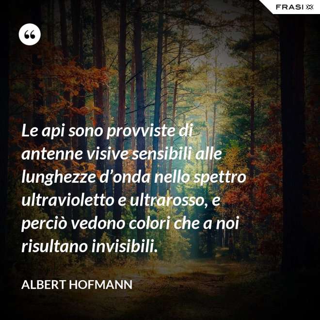Le api sono provviste di antenne visive sensibili alle lunghezze d’onda nello spettro ultravioletto e ultrarosso, e perciò vedono colori che a noi risultano invisibili. - Albert Hofmann