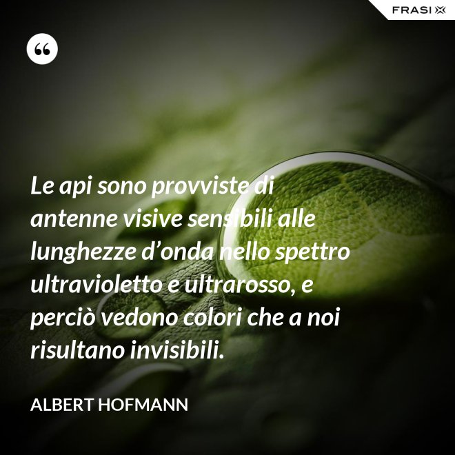 Le api sono provviste di antenne visive sensibili alle lunghezze d’onda nello spettro ultravioletto e ultrarosso, e perciò vedono colori che a noi risultano invisibili. - Albert Hofmann