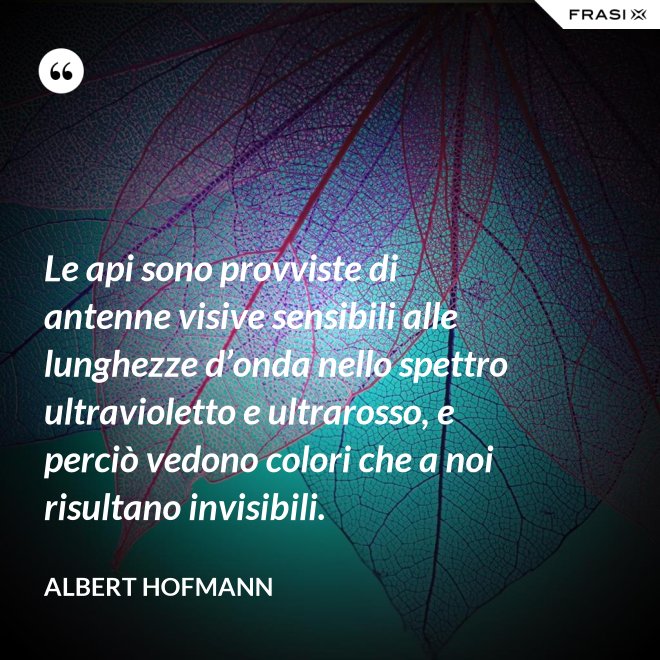 Le api sono provviste di antenne visive sensibili alle lunghezze d’onda nello spettro ultravioletto e ultrarosso, e perciò vedono colori che a noi risultano invisibili. - Albert Hofmann