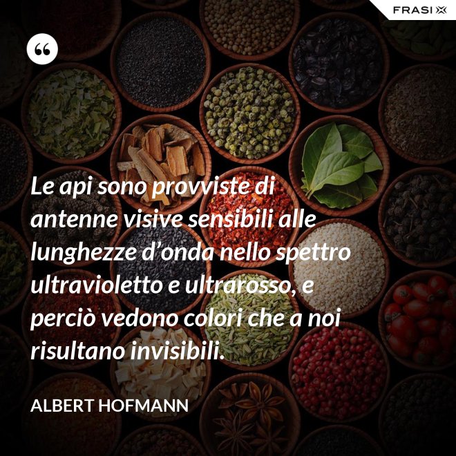 Le api sono provviste di antenne visive sensibili alle lunghezze d’onda nello spettro ultravioletto e ultrarosso, e perciò vedono colori che a noi risultano invisibili. - Albert Hofmann