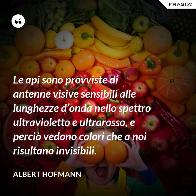 Le api sono provviste di antenne visive sensibili alle lunghezze d’onda nello spettro ultravioletto e ultrarosso, e perciò vedono colori che a noi risultano invisibili. - Albert Hofmann