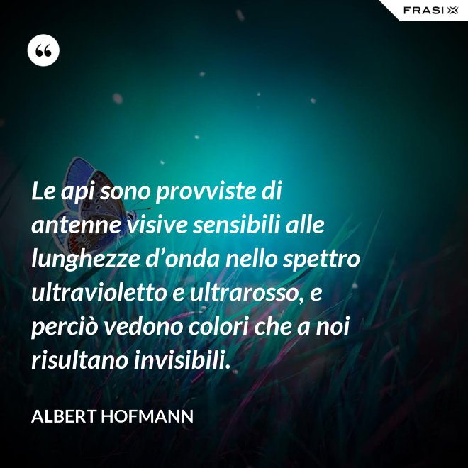 Le api sono provviste di antenne visive sensibili alle lunghezze d’onda nello spettro ultravioletto e ultrarosso, e perciò vedono colori che a noi risultano invisibili. - Albert Hofmann
