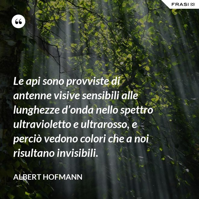 Le api sono provviste di antenne visive sensibili alle lunghezze d’onda nello spettro ultravioletto e ultrarosso, e perciò vedono colori che a noi risultano invisibili. - Albert Hofmann