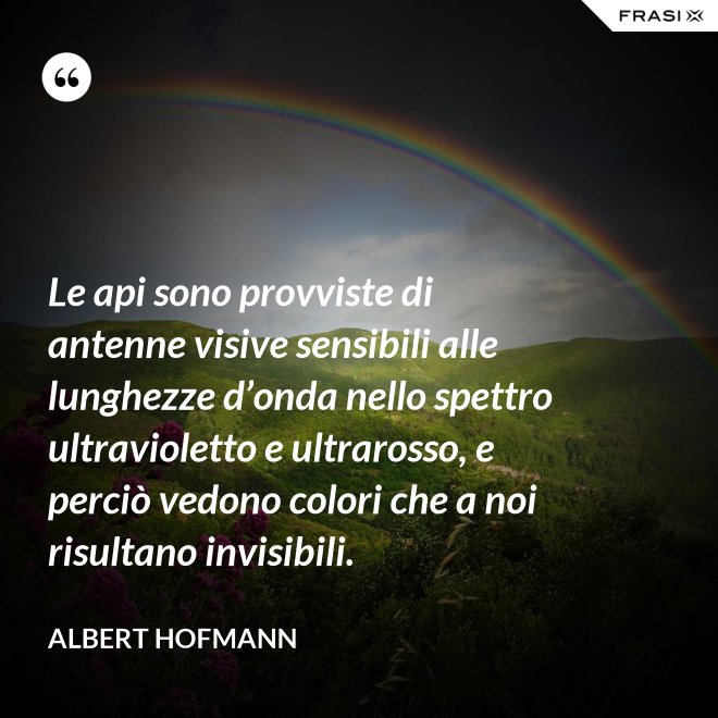 Le api sono provviste di antenne visive sensibili alle lunghezze d’onda nello spettro ultravioletto e ultrarosso, e perciò vedono colori che a noi risultano invisibili. - Albert Hofmann