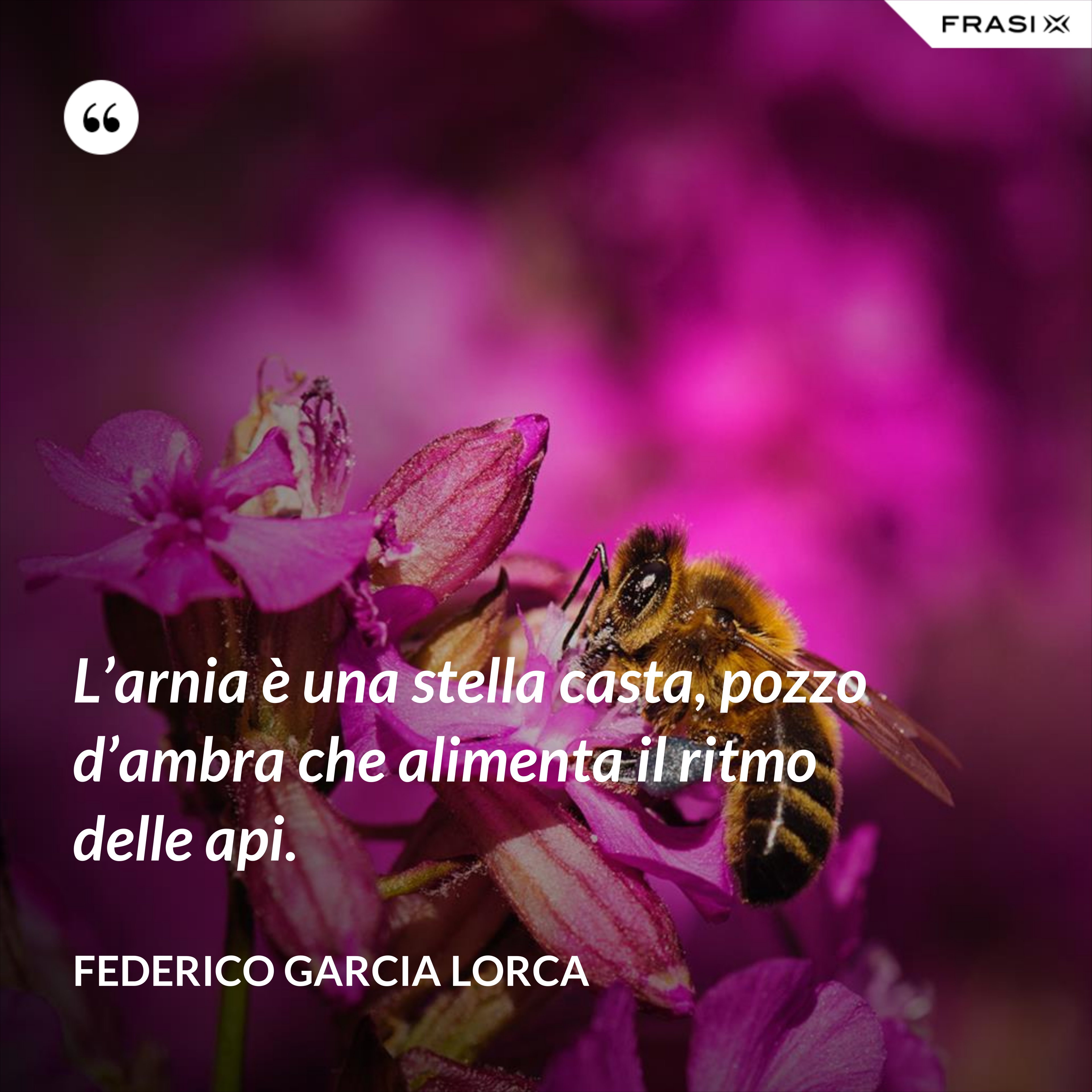L’arnia è una stella casta, pozzo d’ambra che alimenta il ritmo delle api. - Federico Garcia Lorca