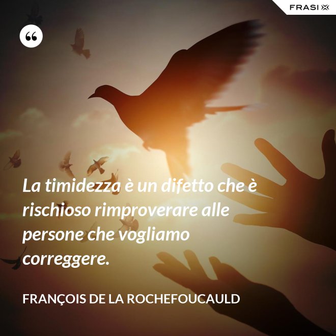 La timidezza è un difetto che è rischioso rimproverare alle persone che vogliamo correggere. - François de La Rochefoucauld